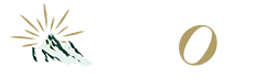 Logo Footer